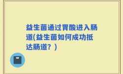 益生菌通过胃酸进入肠道(益生菌如何成功抵达肠道？)
