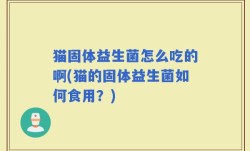 猫固体益生菌怎么吃的啊(猫的固体益生菌如何食用？)