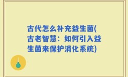 古代怎么补充益生菌(古老智慧：如何引入益生菌来保护消化系统)