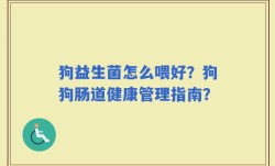 狗益生菌怎么喂好？狗狗肠道健康管理指南？