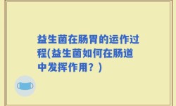 益生菌在肠胃的运作过程(益生菌如何在肠道中发挥作用？)