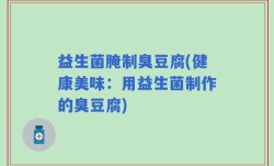 益生菌腌制臭豆腐(健康美味：用益生菌制作的臭豆腐)
