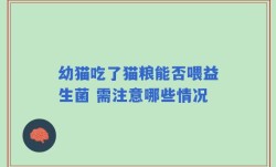 幼猫吃了猫粮能否喂益生菌 需注意哪些情况