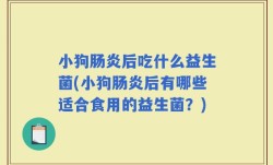 小狗肠炎后吃什么益生菌(小狗肠炎后有哪些适合食用的益生菌？)