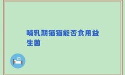 哺乳期猫猫能否食用益生菌