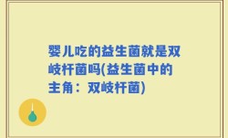 婴儿吃的益生菌就是双岐杆菌吗(益生菌中的主角：双岐杆菌)