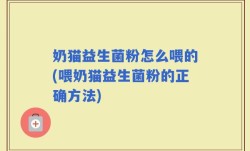 奶猫益生菌粉怎么喂的(喂奶猫益生菌粉的正确方法)