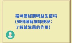 猫咪便秘要喝益生菌吗(如何缓解猫咪便秘：了解益生菌的作用)