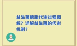 益生菌糖脂代谢过程图解？详解益生菌的代谢机制？