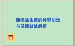 西梅益生菌的神奇功效与健康益处解析