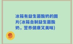 冰箱有益生菌酸奶的图片(冰箱自制益生菌酸奶，营养健康又美味)