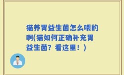 猫养胃益生菌怎么喂的啊(猫如何正确补充胃益生菌？看这里！)