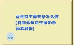 蓝莓益生菌奶条怎么做(自制蓝莓益生菌奶条简易教程)