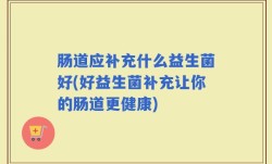 肠道应补充什么益生菌好(好益生菌补充让你的肠道更健康)