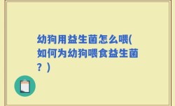 幼狗用益生菌怎么喂(如何为幼狗喂食益生菌？)