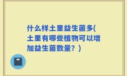 什么样土里益生菌多(土里有哪些植物可以增加益生菌数量？)