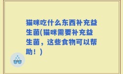 猫咪吃什么东西补充益生菌(猫咪需要补充益生菌，这些食物可以帮助！)
