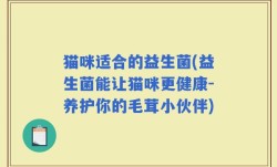 猫咪适合的益生菌(益生菌能让猫咪更健康-养护你的毛茸小伙伴)