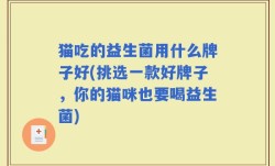 猫吃的益生菌用什么牌子好(挑选一款好牌子，你的猫咪也要喝益生菌)