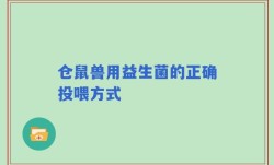 仓鼠兽用益生菌的正确投喂方式