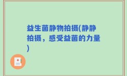 益生菌静物拍摄(静静拍摄，感受益菌的力量)