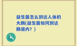 益生菌怎么到达人体的大肠(益生菌如何到达肠道内？)