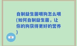 自制益生菌喂狗怎么喂(如何自制益生菌，让你的狗获得更好的营养)