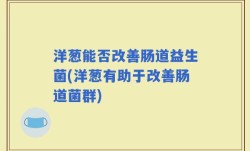 洋葱能否改善肠道益生菌(洋葱有助于改善肠道菌群)