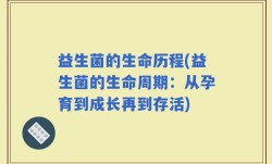 益生菌的生命历程(益生菌的生命周期：从孕育到成长再到存活)