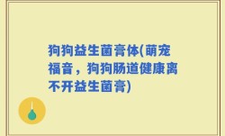 狗狗益生菌膏体(萌宠福音，狗狗肠道健康离不开益生菌膏)