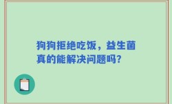 狗狗拒绝吃饭，益生菌真的能解决问题吗？