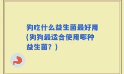 狗吃什么益生菌最好用(狗狗最适合使用哪种益生菌？)