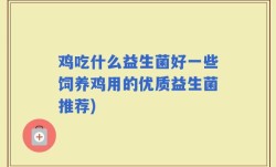 鸡吃什么益生菌好一些饲养鸡用的优质益生菌推荐)