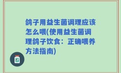 鸽子用益生菌调理应该怎么喂(使用益生菌调理鸽子饮食：正确喂养方法指南)