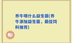 养牛喂什么益生菌(养牛添加益生菌，最佳饲料推荐)