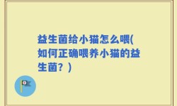 益生菌给小猫怎么喂(如何正确喂养小猫的益生菌？)
