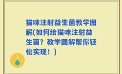 猫咪注射益生菌教学图解(如何给猫咪注射益生菌？教学图解帮你轻松实现！)