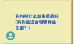 狗狗喝什么益生菌最好(狗狗最适合喝哪种益生菌？)