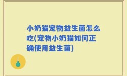 小奶猫宠物益生菌怎么吃(宠物小奶猫如何正确使用益生菌)