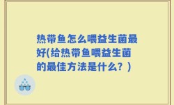 热带鱼怎么喂益生菌最好(给热带鱼喂益生菌的最佳方法是什么？)
