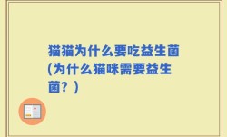 猫猫为什么要吃益生菌(为什么猫咪需要益生菌？)
