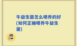 牛益生菌怎么喂养的好(如何正确喂养牛益生菌)