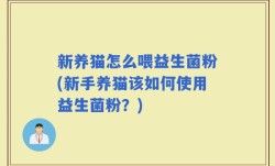 新养猫怎么喂益生菌粉(新手养猫该如何使用益生菌粉？)