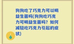 狗狗吃了巧克力可以喝益生菌吗(狗狗吃巧克力可喝益生菌吗？如何减轻吃巧克力引起的症状)