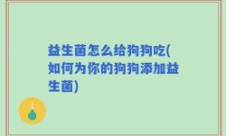 益生菌怎么给狗狗吃(如何为你的狗狗添加益生菌)