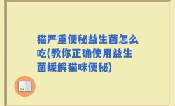 猫严重便秘益生菌怎么吃(教你正确使用益生菌缓解猫咪便秘)