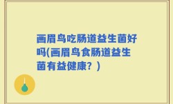 画眉鸟吃肠道益生菌好吗(画眉鸟食肠道益生菌有益健康？)