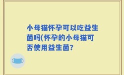 小母猫怀孕可以吃益生菌吗(怀孕的小母猫可否使用益生菌？