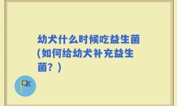 幼犬什么时候吃益生菌(如何给幼犬补充益生菌？)