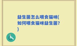 益生菌怎么喂食猫咪(如何喂食猫咪益生菌？)